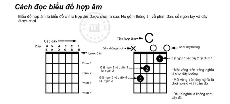 Cách đọc biểu đồ hợp âm guitar