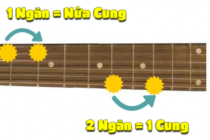 Cung và nửa cung